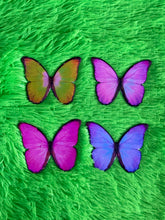 Load image into Gallery viewer, *SALE* XL Butterfly Necklace