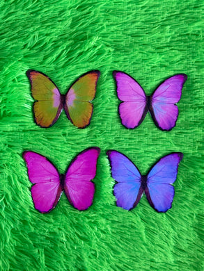 *SALE* XL Butterfly Necklace