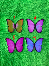 Load image into Gallery viewer, *SALE* XL Butterfly Necklace